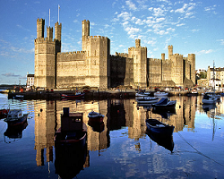 caernarfon castle.png